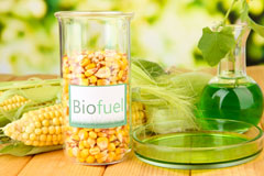 Goodrich biofuel availability